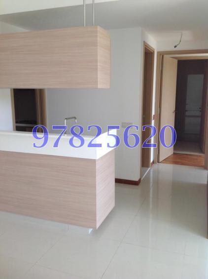 Parc Vera (D19), Condominium #113147482